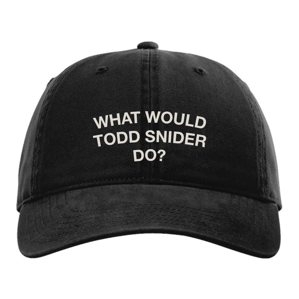 What Would Todd Snider Do? dad hat