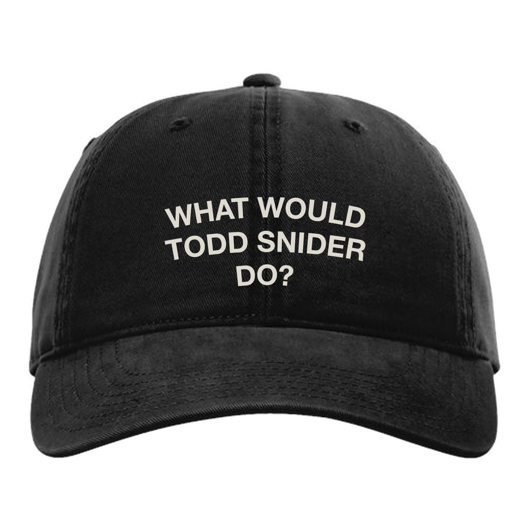 What Would Todd Snider Do? dad hat